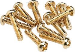 Vis  Fender Pickup & Selector Switch Mounting Screws (12) - Gold