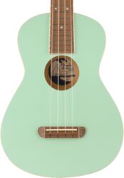 Avalon Tenor - surf green