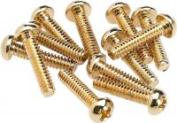 Pickup & Selector Switch Mounting Screws (12) - Gold