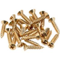 Pickguard - Control Plate Mounting Screws (24) Gold