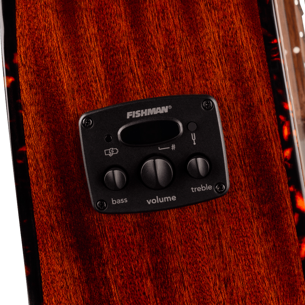 Fender Newporter Deluxe Ce California Auditorium Cw Epicea Acajou Wal - Natural - Guitare Folk - Variation 3