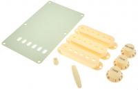 Stratocaster Accessory Kit - Aged White