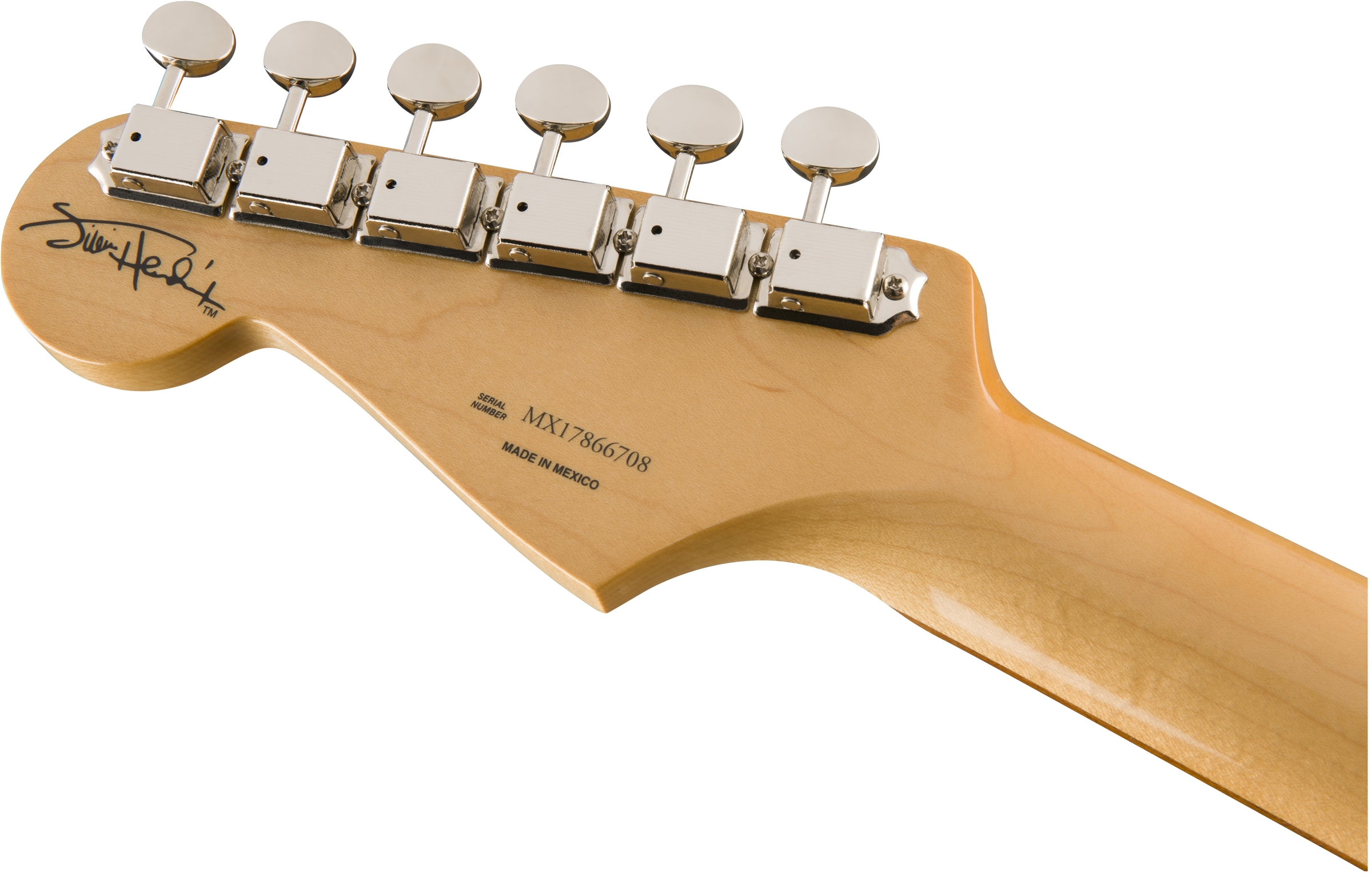 Fender Strat Jimi Hendrix Monterey Mex Sss Pf - Hand Painted Custom - Guitare Électrique Forme Tel - Variation 8