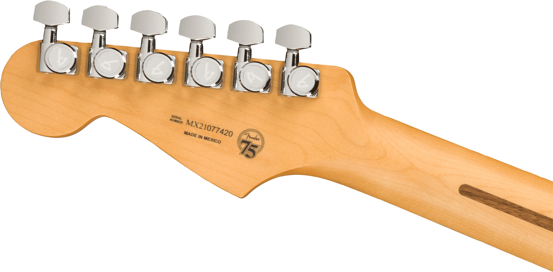 Fender Strat Player Plus Mex Hss Trem Pf - Silverburst - Guitare Électrique Forme Str - Variation 3