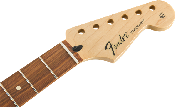Fender Strat Standard Mex Neck Pau Ferro 21 Frets - Manche - Variation 1
