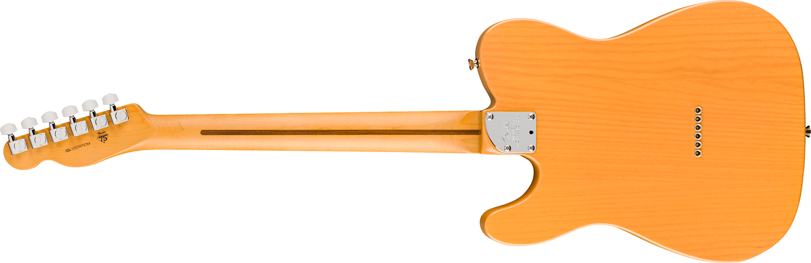 Fender Tele American Pro. Usa  2s Ht Mn - Butterscotch Blonde - Guitare Électrique Forme Tel - Variation 1