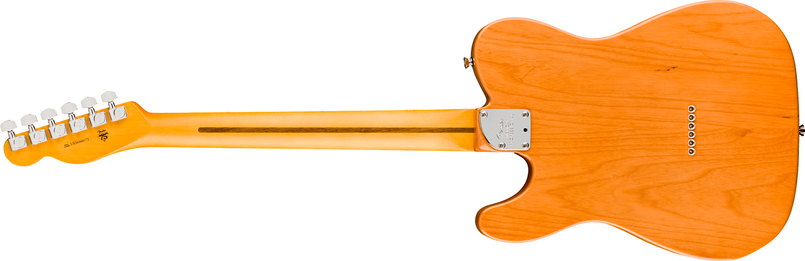 Fender Tele American Pro. Usa  2s Ht Mn - Natural - Guitare Électrique Forme Tel - Variation 1