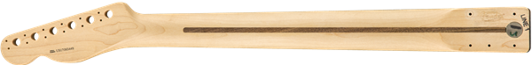 Fender Tele American Professional Neck Rosewood 22 Frets Usa Palissandre - Manche - Variation 2