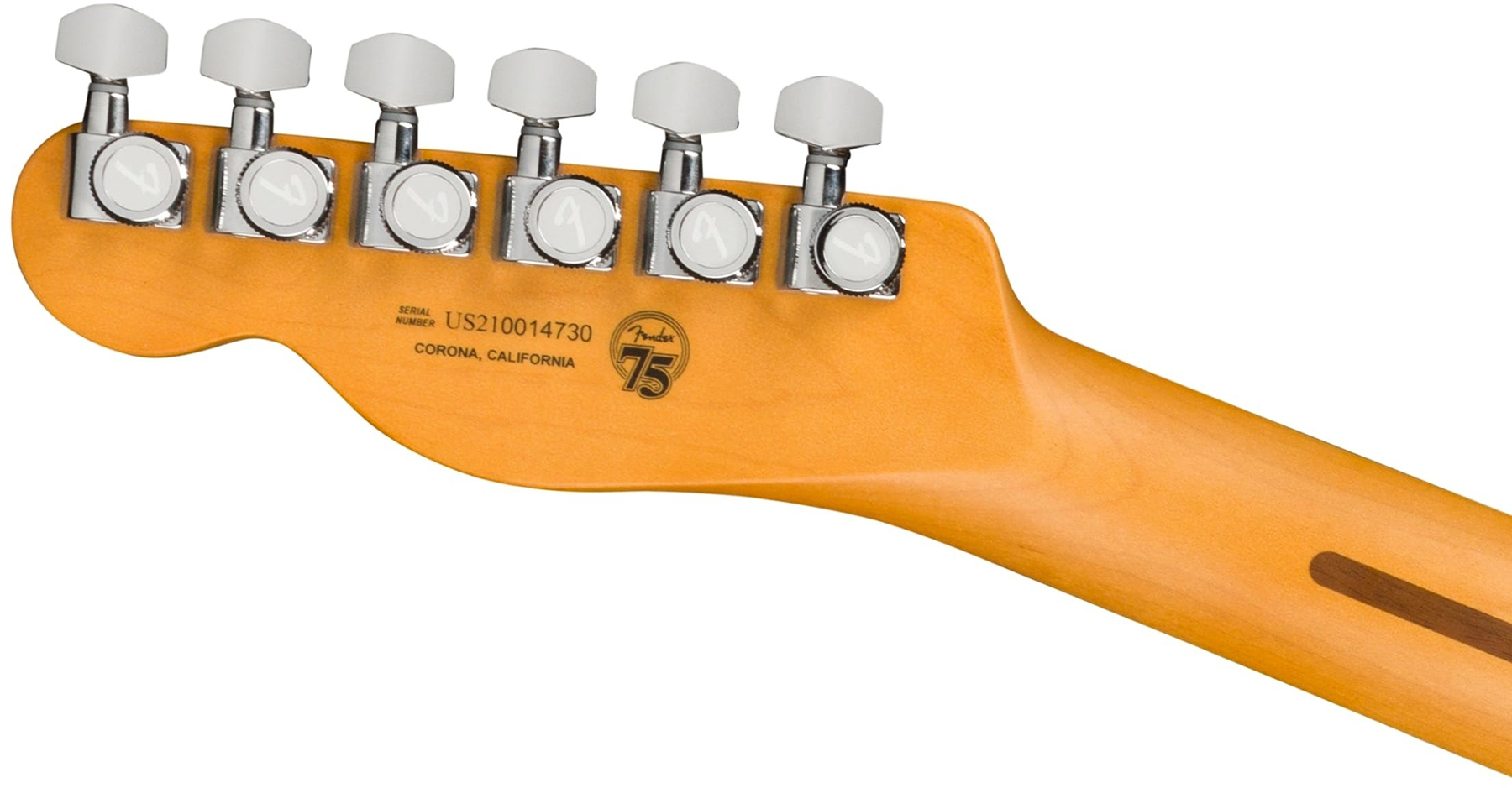 Fender Tele American Ultra Fsr Ltd Usa 2s Ht Eb - Mystic Pine Green - Guitare Électrique Forme Tel - Variation 4