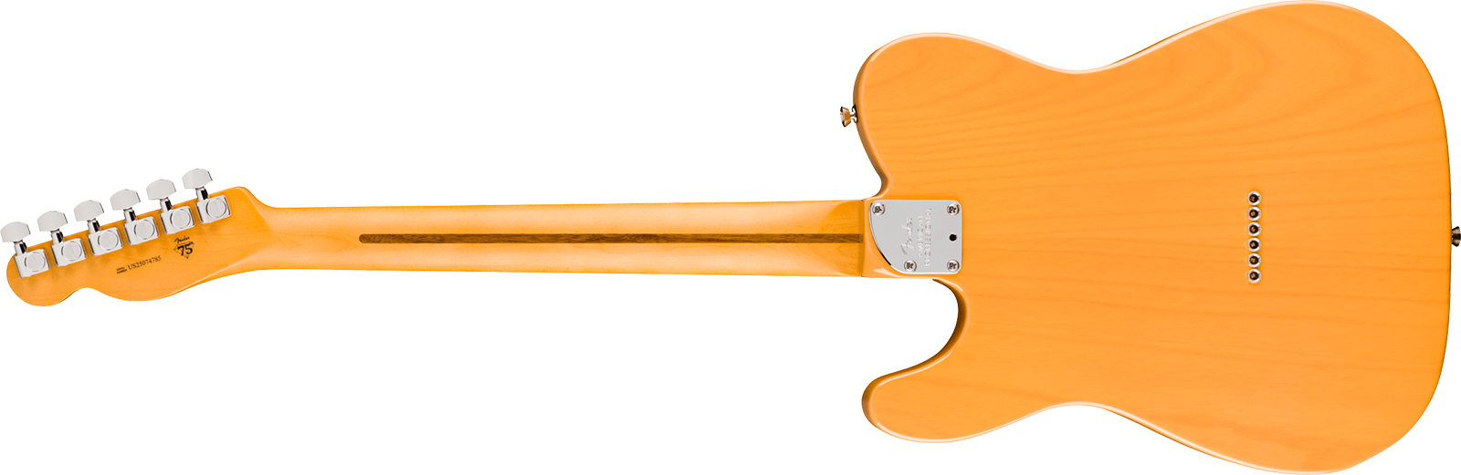 Fender Tele Hot Shot American Pro. Usa  2s Ht Mn - Butterscotch Blonde - Guitare Électrique Forme Tel - Variation 1