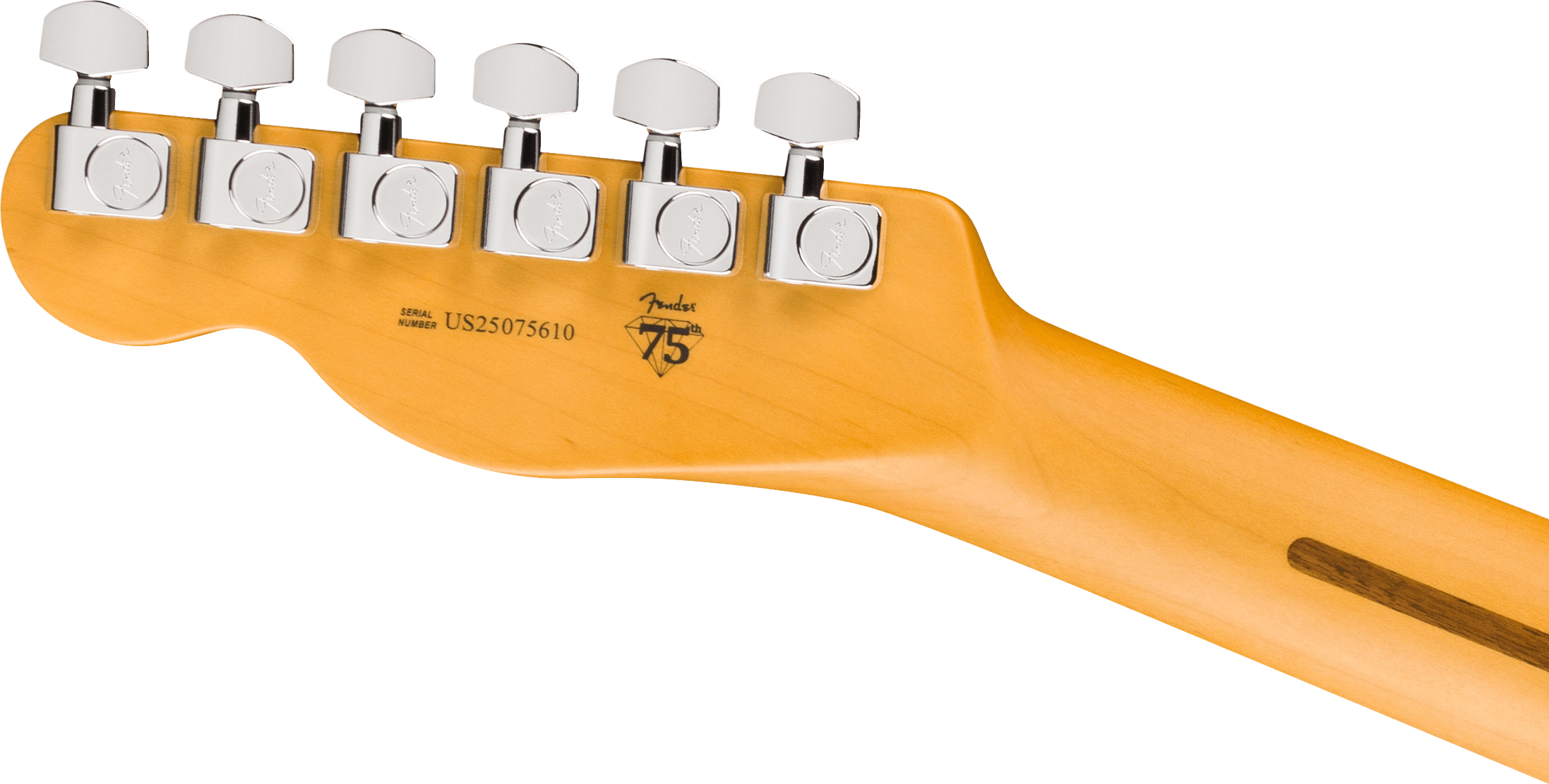 Fender Tele Hot Shot American Pro. Usa  2s Ht Rw - Oxblood - Guitare Électrique Forme Tel - Variation 4