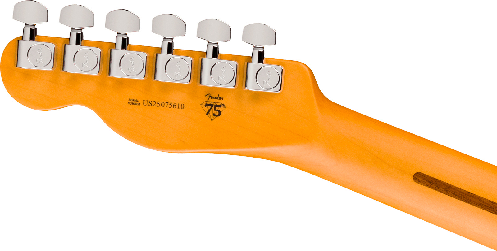 Fender Tele Hot Shot American Pro. Usa  2s Ht Rw - Dark Night - Guitare Électrique Forme Tel - Variation 4