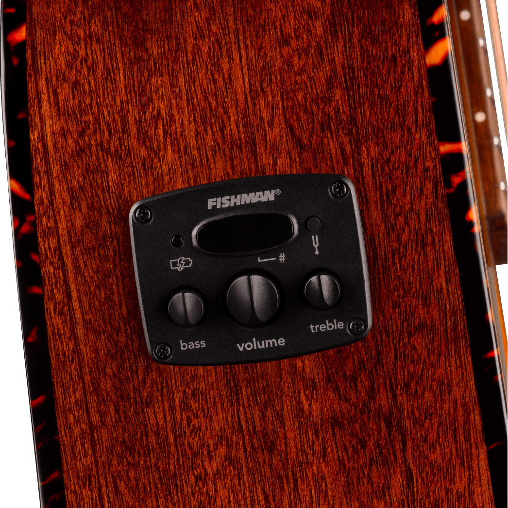 Fender Villager Deluxe E California Orchestra Om 12c Shsc Epicea Acajou Noy - Honey Sunburst - Guitare Folk - Variation 3