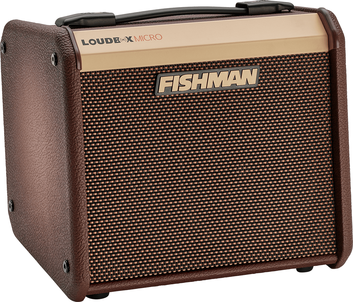 Fishman Loudbox Micro 40 - Combo Ampli Acoustique - Main picture