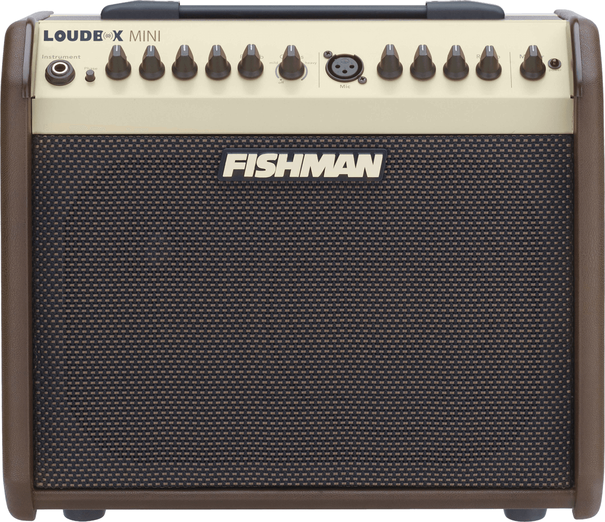 Fishman Loudbox Mini 60w Bluetooth - Combo Ampli Acoustique - Main picture