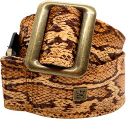 Copper Cobra