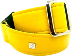 Fly Yellow