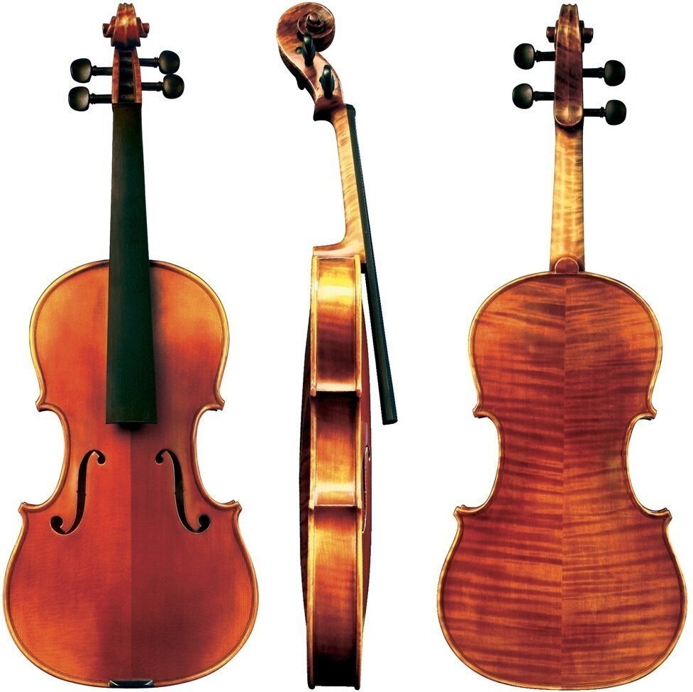 Gewa Maestro 6 4/4 Marron - Violon Acoustique - Main picture