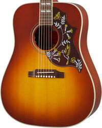 Hummingbird - heritage cherry sunburst