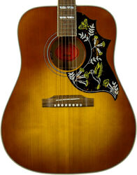 Hummingbird Standard - honey burst