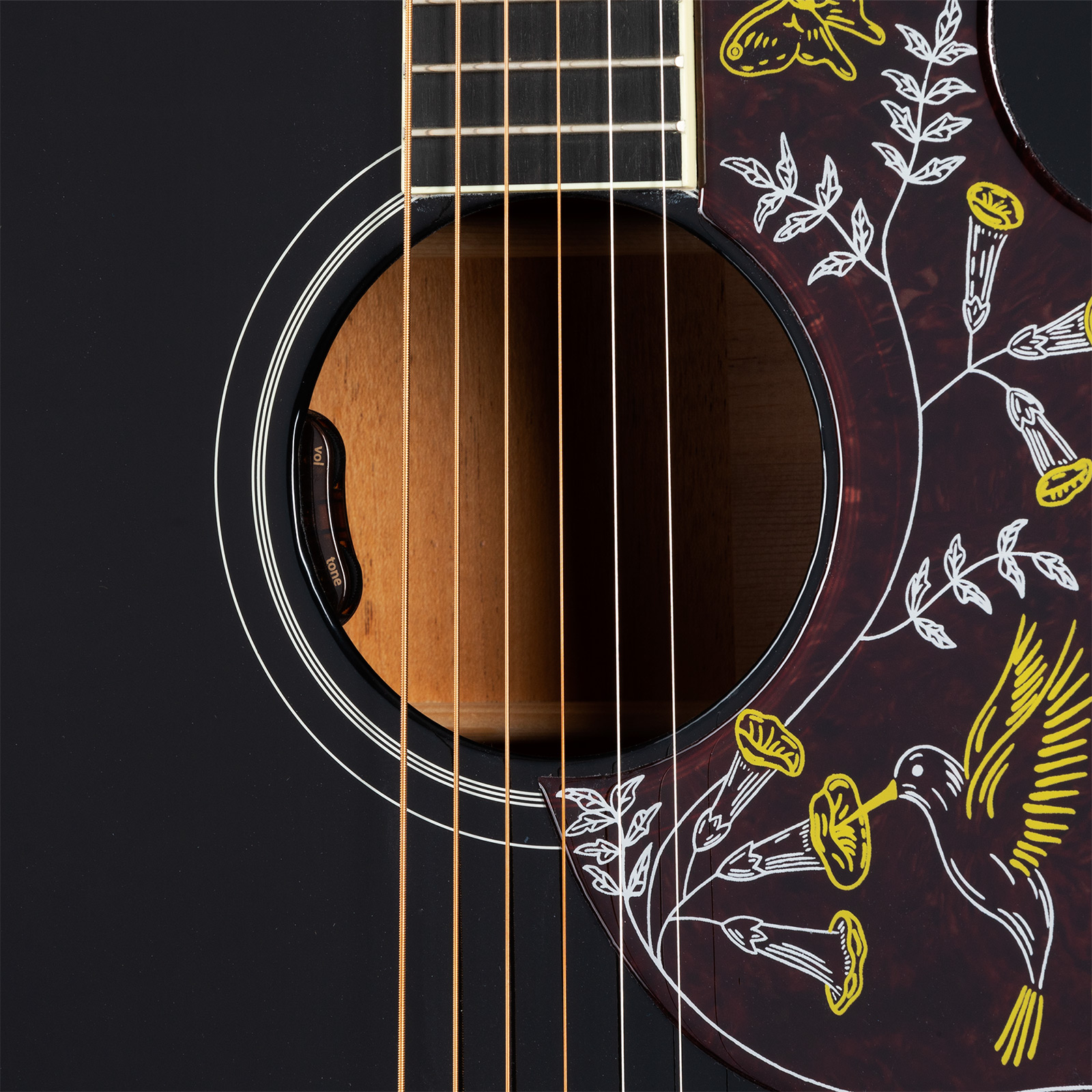 Gibson Hummingbird Standard Modern Dreadnought Epicea Acajou Rw - Ebony - Guitare Folk - Variation 4