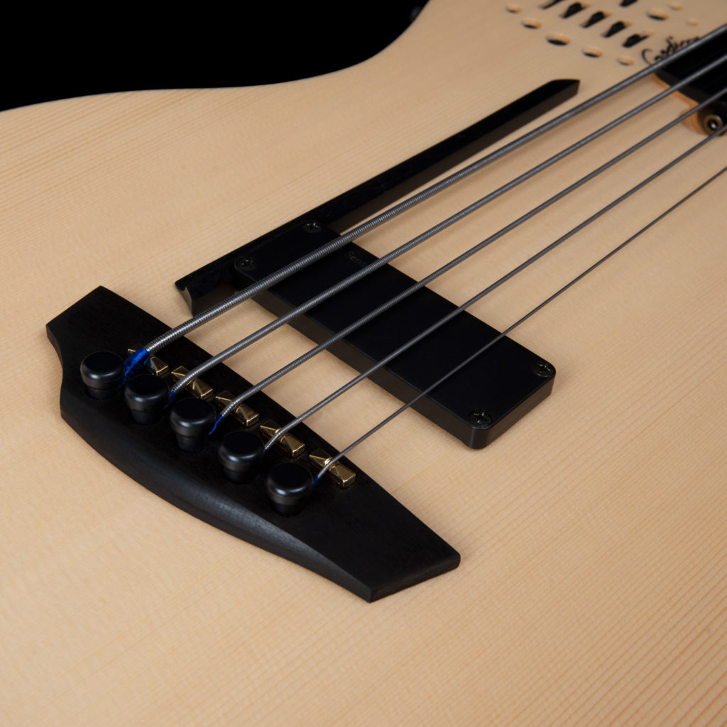 Godin A5 Ultra Fretless A/e 5c Epicea Tilleul Ric - Natural Semi Gloss - Basse Acoustique - Variation 4