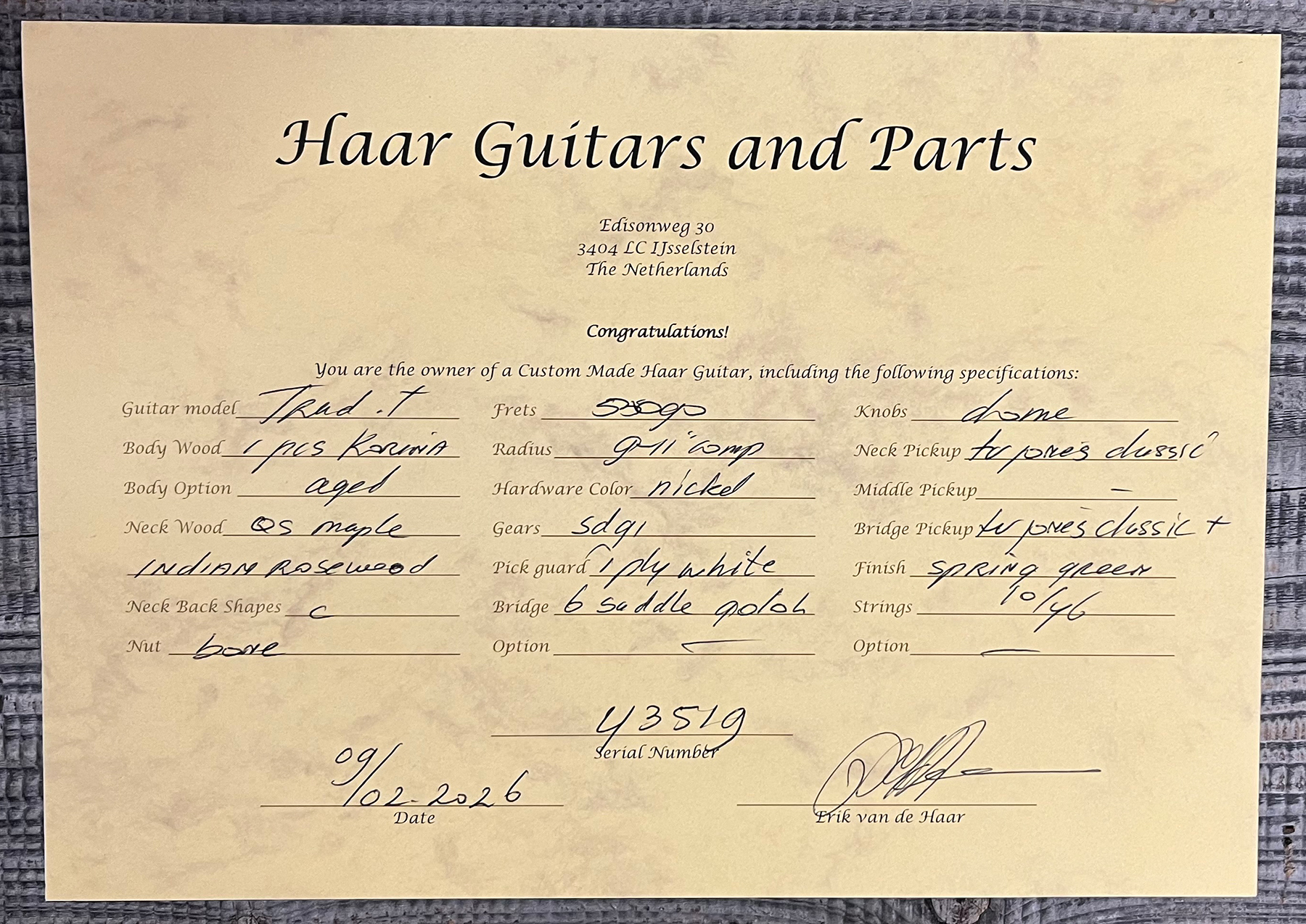 Haar Guitars Trad T Custom 2h Tv Jones Ht Rw #43519 - Aged Spring Green - Guitare Électrique Forme Tel - Variation 12