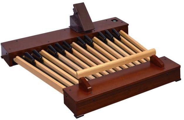 Pédalier clavier Hammond XPK-250W