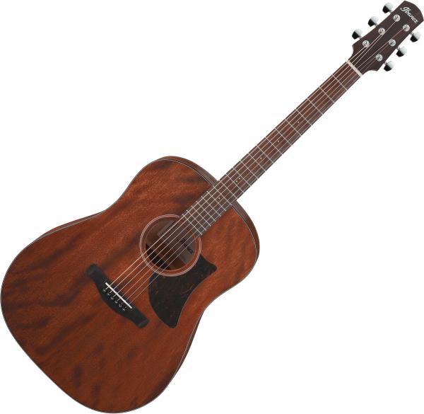Ibanez AAD140 OPN - open pore natural Folk guitar