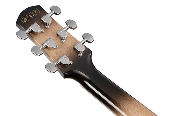 Ibanez Aam370m1ce Tpa Advanced Auditorium Epicea Erable Rw - Transparent Panda - Guitare Folk - Variation 3