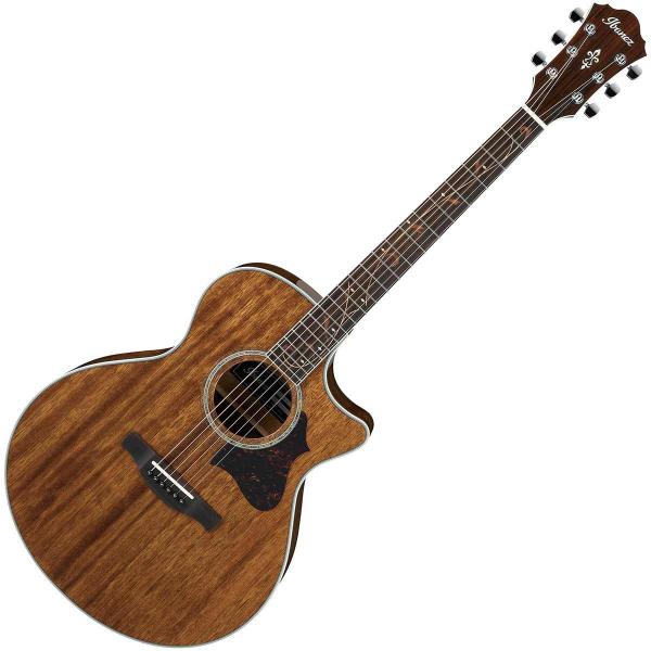 Ibanez ae245 discount