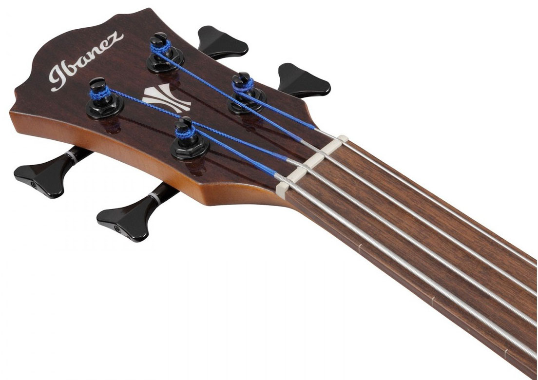 Ibanez Aegb24fe Mhs Fretless Cw Tout Sapele Noy - Mahogany Sunburst - Basse Acoustique - Variation 4