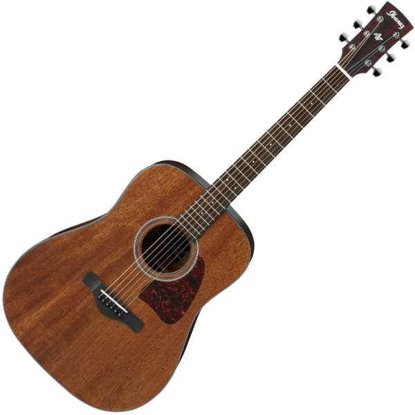 Ibanez AW54 OPN Artwood - open pore natural Folk guitar