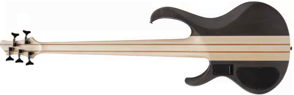 Ibanez Btb605 Tgf Standard 5c Active Eb - Transparent Gray Flat - Basse Électrique Solid Body - Variation 1