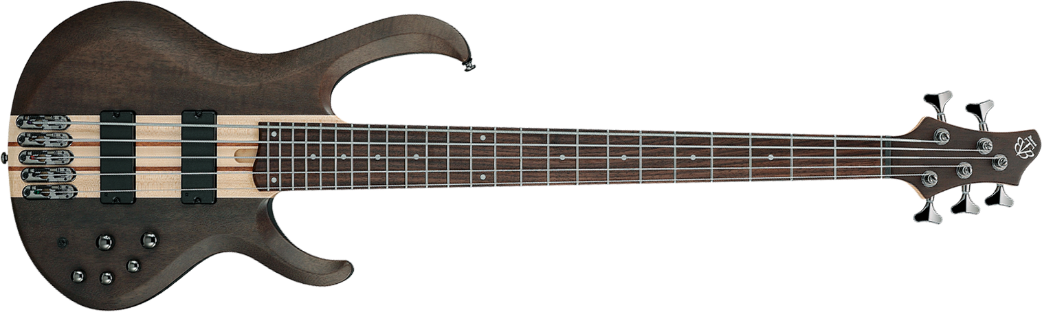 Ibanez Btb605 Tgf Standard 5c Active Eb - Transparent Gray Flat - Basse Électrique Solid Body - Main picture
