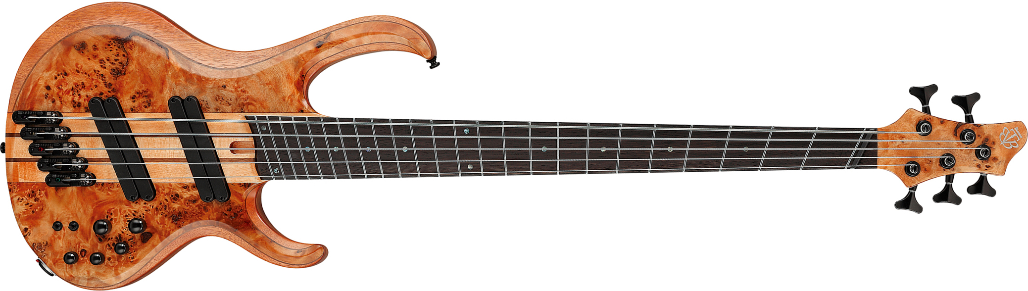 Ibanez Btb805ms Fnl Workshop 5c Multiscale Active Rw - Florid Natural Low Gloss - Basse Électrique Solid Body - Main picture