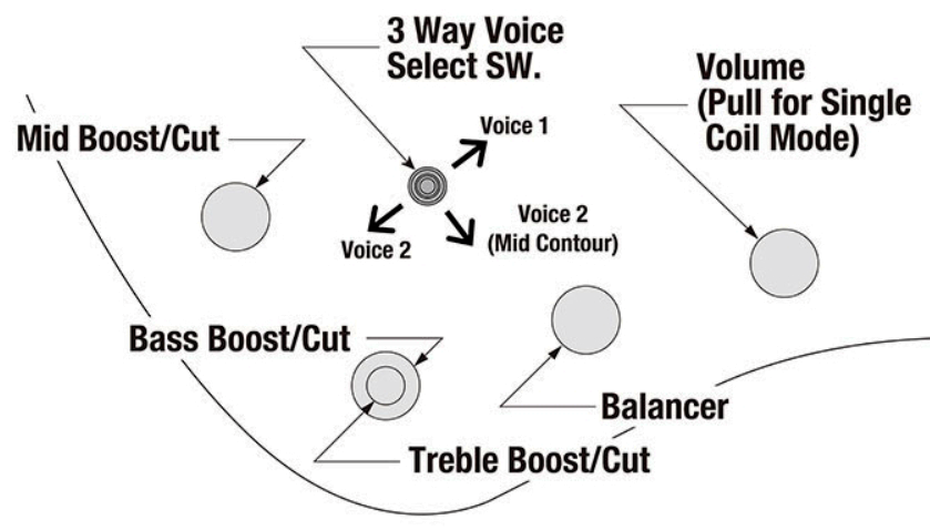 Ibanez Ehb1675ms Ntf Workshop 5c Multiscale Active Pp - Natural Flat - Basse Électrique Solid Body - Variation 4