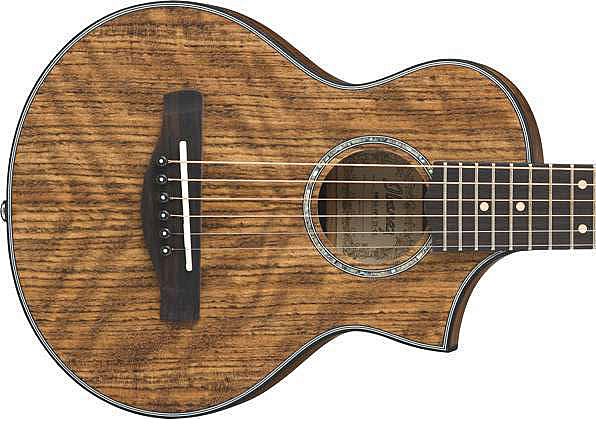 Ibanez Ewp14wb Opn - Open Pore  Natural - Guitare Acoustique Voyage - Variation 2