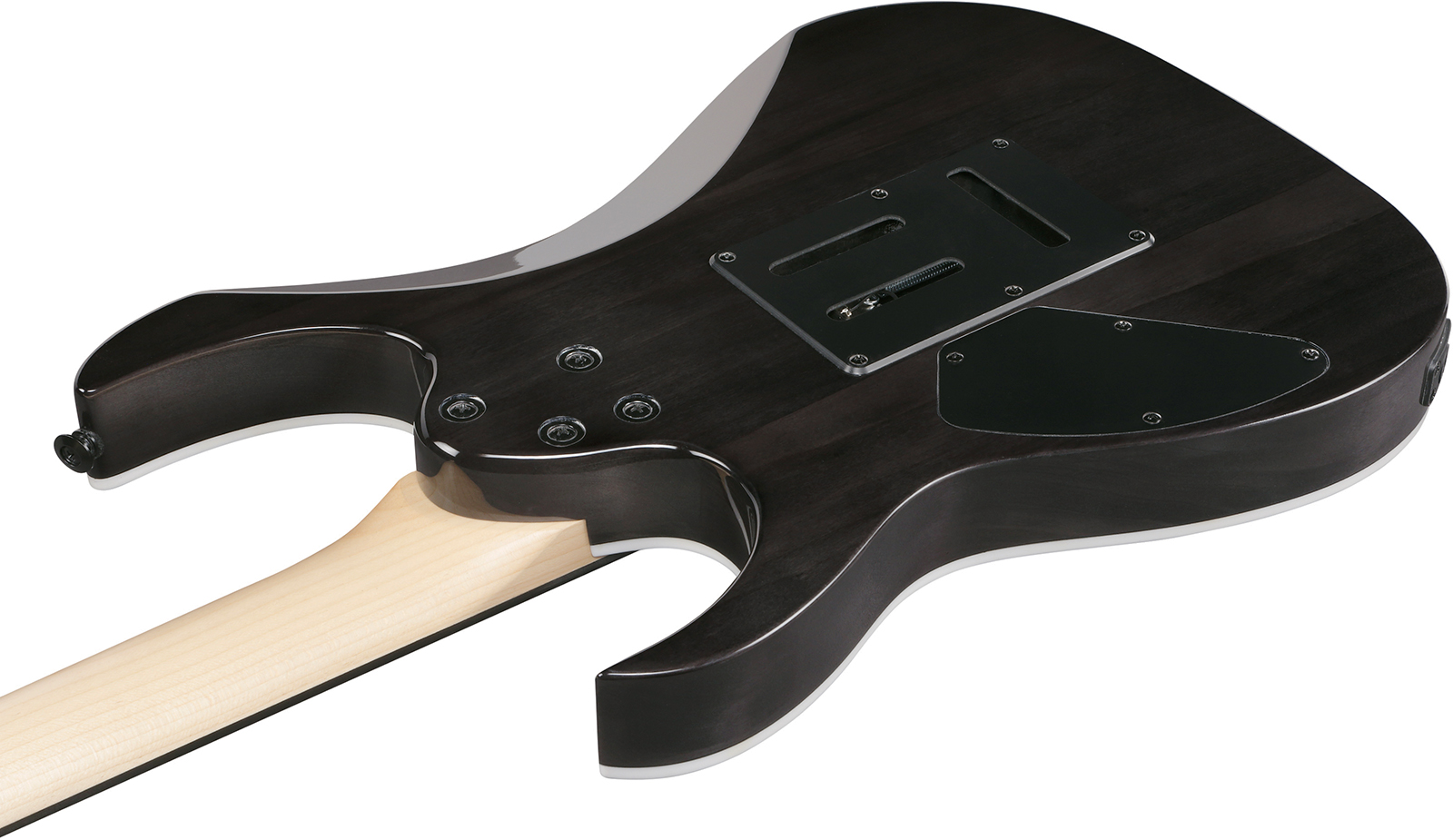 Ibanez Grg120qasp Bkg Gio 2h Trem Pur - Black Gradation - Guitare Électrique Forme Str - Variation 3