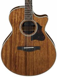 Guitare electro acoustique Ibanez AE245 NT - Natural