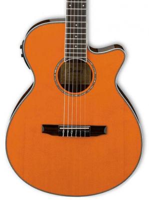Guitare classique format 4/4 Ibanez AEG10NII TNG - Mandarine