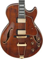 Guitare électrique forme str Ibanez Artcore Expressionist AG95MG DA - dark amber