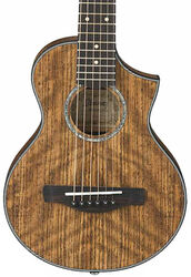 Guitare acoustique voyage Ibanez EWP14WB OPN - Open pore  natural