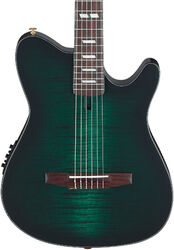 Guitare classique format 4/4 Ibanez FRH20FMN DGL - Deep Emerald Green