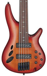 Basse électrique 1/2 caisse Ibanez Workshop SRD900F BTL Fretless Piezo 5-String - Brown topaz burst low gloss