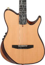 Guitare classique format 4/4 Ibanez Tim Henson TOD100N NT (Japan) - natural