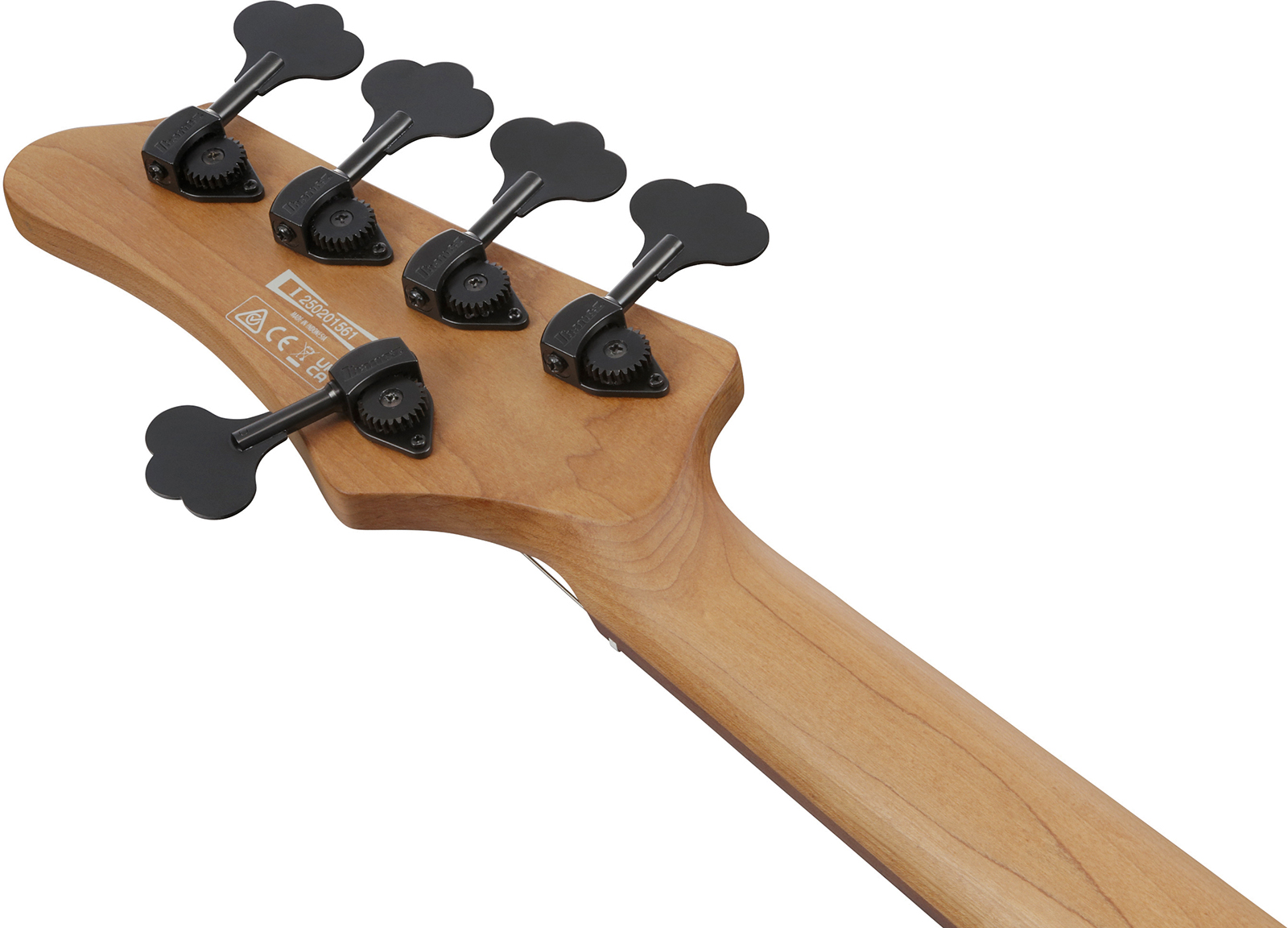 Ibanez Mdm1605 Dtw Mode 5c Active Rw - Deep Twilight - Basse Électrique Solid Body - Variation 4