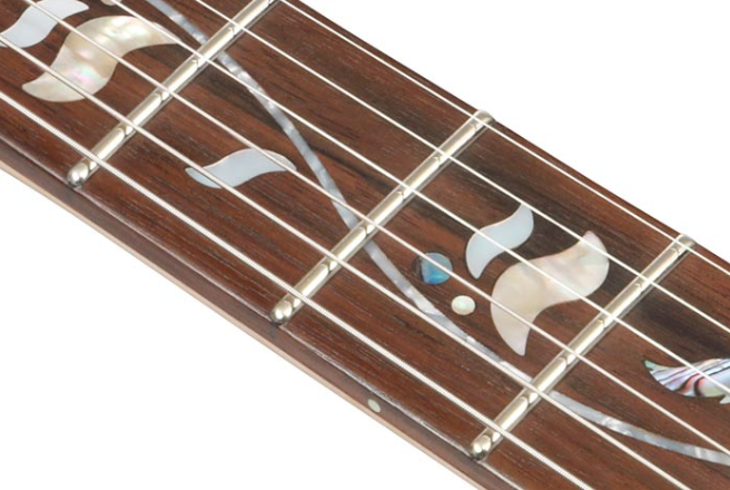 Ibanez Rg8570 Bsr J.custom Jap Hsh Dimarzio Fr Rw - Brownish Sphalerite - Guitare Électrique Forme Str - Variation 4