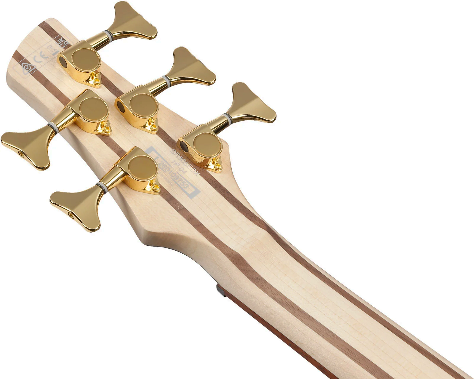 Ibanez Sr305edx Fdm Standard 5c Active Jat - Frozen Gold Matte - Basse Électrique Solid Body - Variation 5