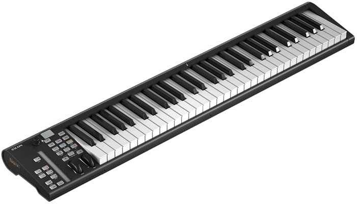 Icon Artist 61x - Clavier MaÎtre - Main picture